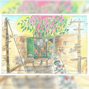 The Shop Window